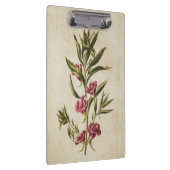 flessenbalsem-illustratie van flesanalen klembord (Rechts)