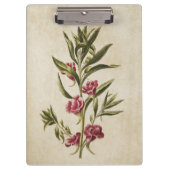  flessenbalsem-illustratie van flesanalen klembord (Voorkant)