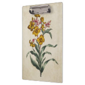 flessenbloem illustratie flacon klembord (Links)