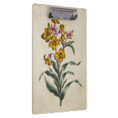 flessenbloem illustratie flacon klembord (Rechts)