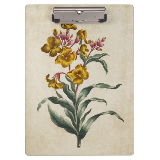 flessenbloem illustratie flacon klembord (Voorkant)
