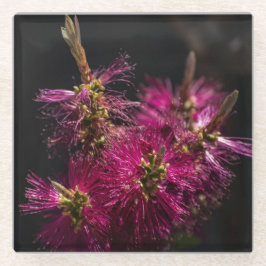 Flessenborstel Glass Onderzetter, Flessenborstel O Glazen Onderzetter