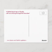 Flessenborstel Sunburst Briefkaart (Achterkant)