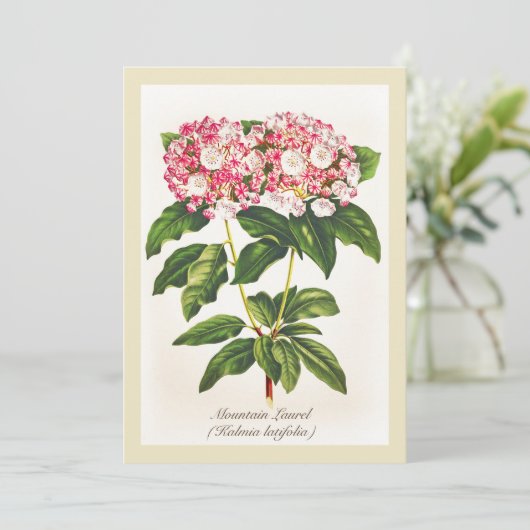 flessengebergte Laurel Flower (Staand voorkant)