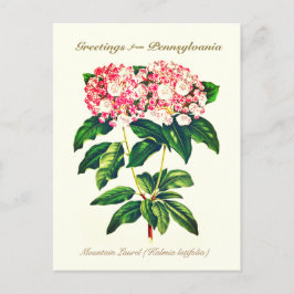 flessengebergte Laurel Flower Briefkaart