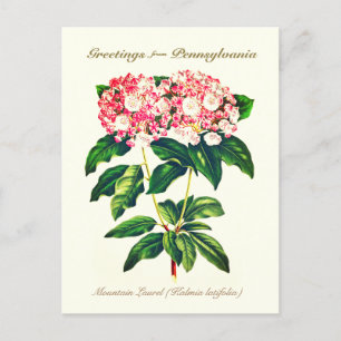 flessengebergte Laurel Flower Briefkaart