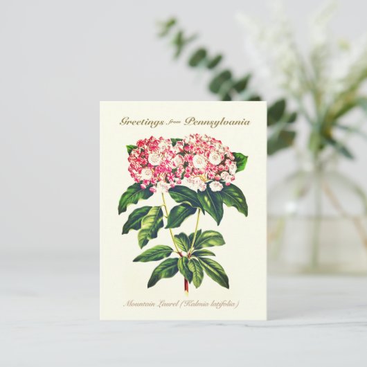  flessengebergte Laurel Flower Briefkaart (Staand voorkant)