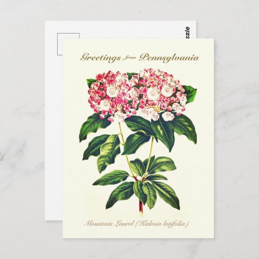 flessengebergte Laurel Flower Briefkaart (Voorkant / Achterkant)