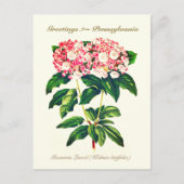 flessengebergte Laurel Flower Briefkaart (Voorkant)