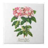 flessengebergte Laurel Flower Tegeltje (Voorkant)