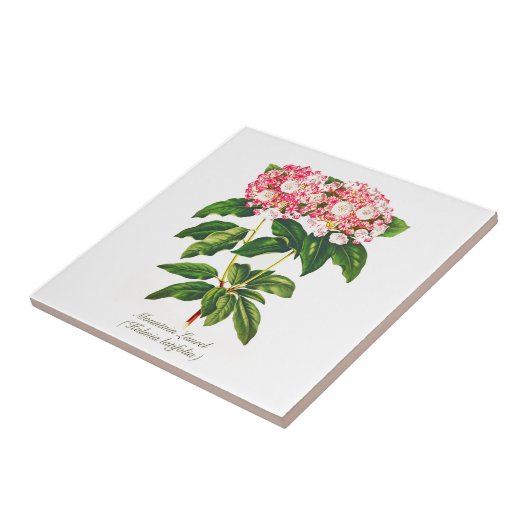 flessengebergte Laurel Flower Tegeltje (Zijkant)