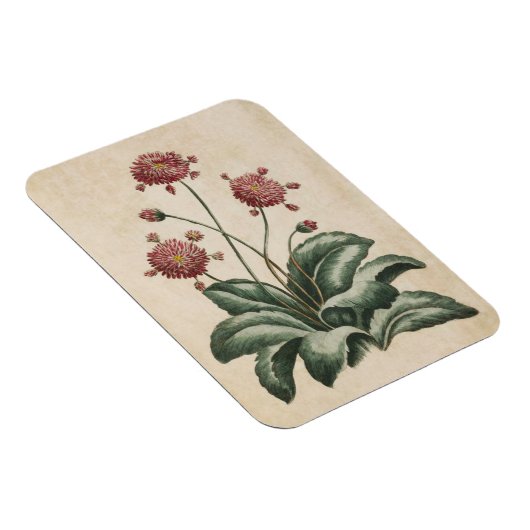 flessenhals Daisy Magnet Magneet (Rechterzijde)