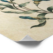 flessenhalsflora Convolvulus afdrukken Poster (Hoek)