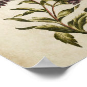  flessenhalsvlakke dubbelzijdige afdruk poster (Hoek)