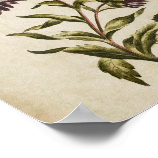 flessenhalsvlakke dubbelzijdige afdruk poster (Hoek)