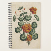  flessenhalzen met dubbele kop planner (Voorkant)