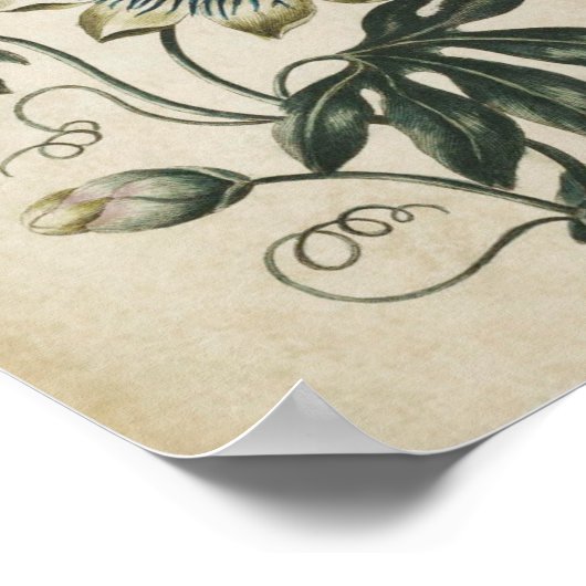 flessenklare kleurenafdrukken poster (Hoek)