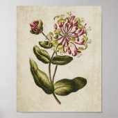 flessenklare persen poster (Voorkant)