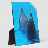 flessenneus dolfijn vis zee onder water fotoplaat (Zijkant)