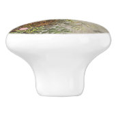  flessenvogel Nest Eggs Script Ephemera Keramische Knop (Zijkant)