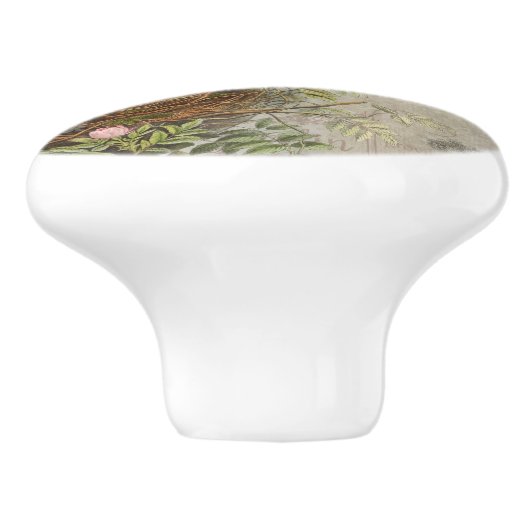  flessenvogel Nest Eggs Script Ephemera Keramische Knop (Zijkant)