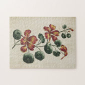 flesvormig Nasturtium Legpuzzel (Horizontaal)