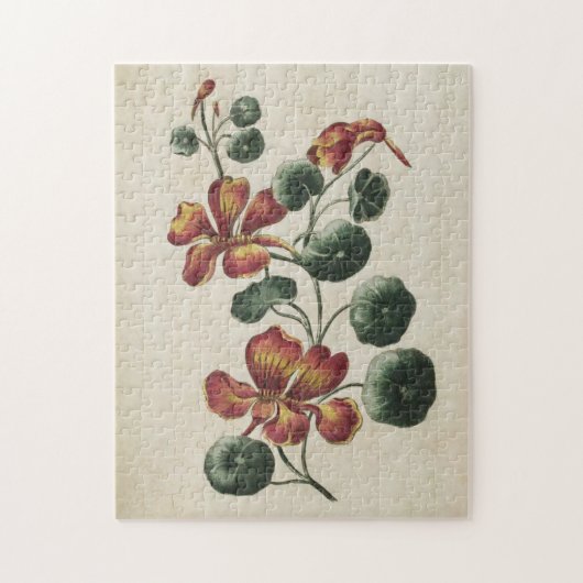 flesvormig Nasturtium Legpuzzel (Verticaal)
