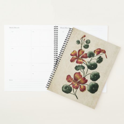  flesvormig Nasturtium Planner (Display)
