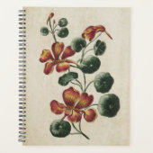  flesvormig Nasturtium Planner (Voorkant)