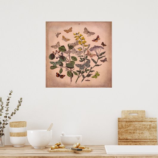  flesvormige vlinders roestroze poster (Keuken)