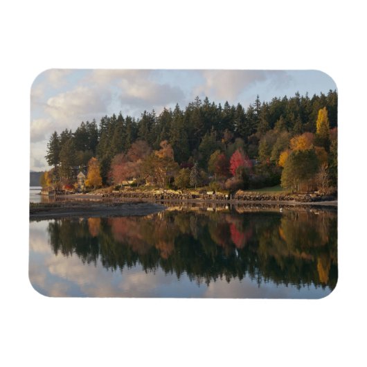 Fletcher Bay Magneet (Horizontaal)