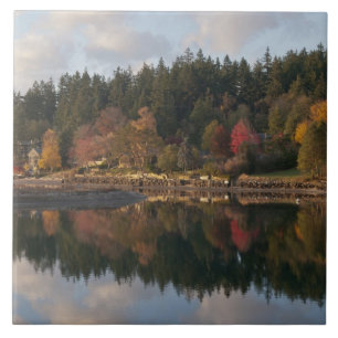 Fletcher Bay Tegeltje