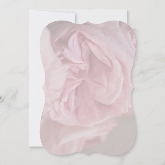  Fleur Bella Roos 1 Kaart (Achterkant)