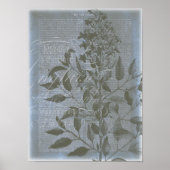 Fleur de Bleu I Poster (Voorkant)