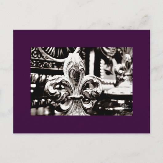 Fleur de Lis [Ansichtkaart] Briefkaart (Voorkant)