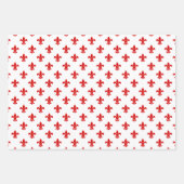 Fleur de Lis DIY Patroon & Achtergrondkleuren Inpakpapier Vel (Voorkant 3)