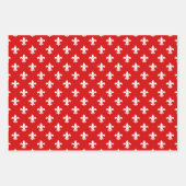 Fleur de Lis DIY Patroon & Achtergrondkleuren Inpakpapier Vel (Voorkant)
