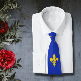 Fleur de Lis over Royal Blue Stropdas