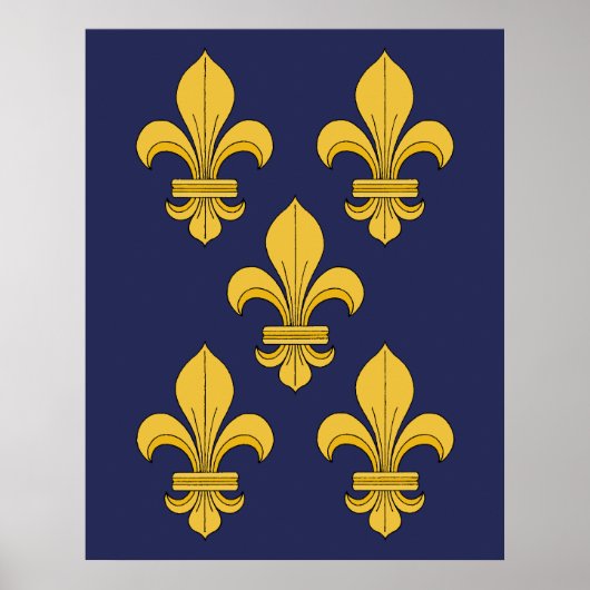 Fleur-de-lis Poster (Voorkant)