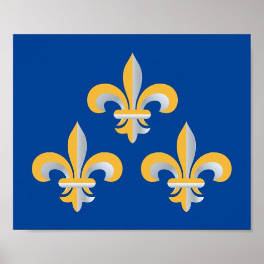 Fleur de Lis-symbool Poster (Voorkant)