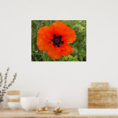 Fleur de pavot poster (Keuken)