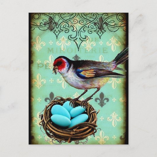 Fleur Di Lis Bird Nest Shabby Chic Briefkaart (Voorkant)
