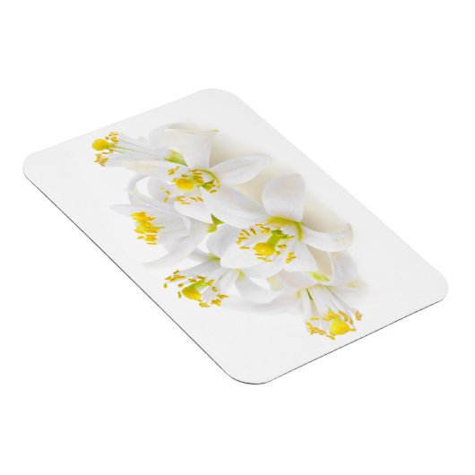 Fleur d'oranger magneet (Rechterzijde)