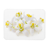Fleur d'oranger magneet (Horizontaal)