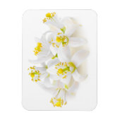 Fleur d'oranger magneet (Verticaal)