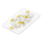 Fleur d'oranger magneet (Linkerzijde)