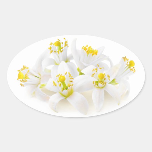 Fleur d'oranger ovale sticker (Voorkant)