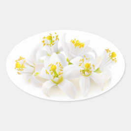 Fleur d'oranger ovale sticker