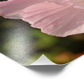 Fleur, Kodak Professional Foto Afdruk (Hoek)