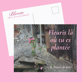 Fleuris là où tu es plantée Pink Floral Briefkaart